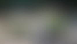 「第３６回幕張西地区町内自治会大運動会」近づく