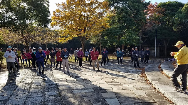 20171126_085322 (800x450)