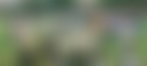 頭の上に花火を仰いで「ナイトウォーク」