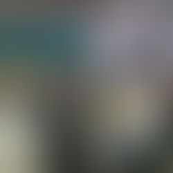 マウス「通常総会」開催