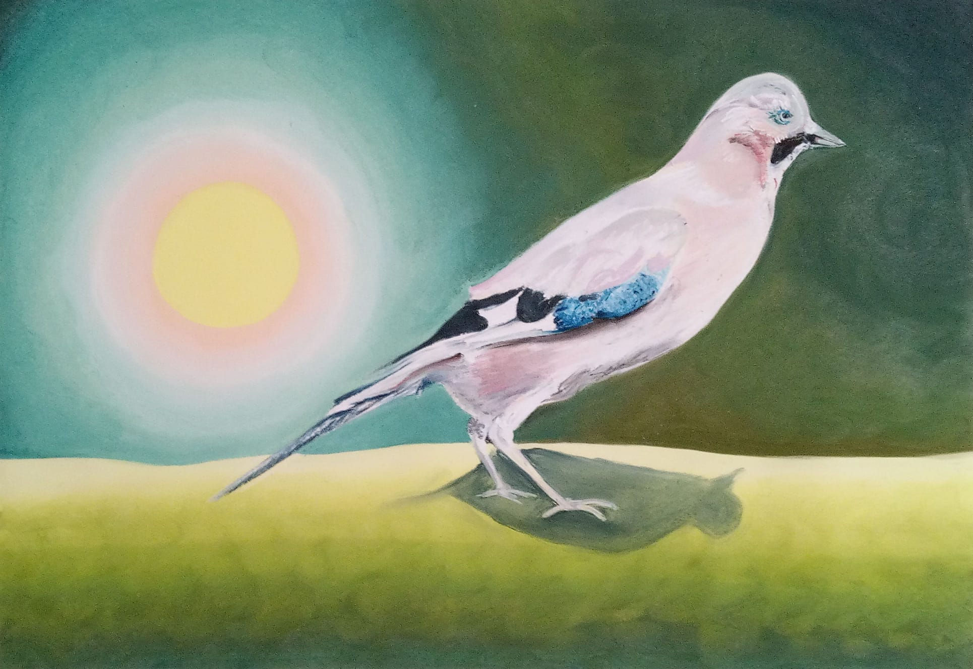 Blue Jay