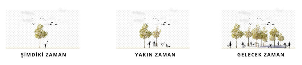 TOHUM SOKAĞI_ŞEMA_230224_edited_edited.jpg