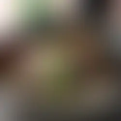 Salade de betterave rouge, avocat, aïoli de petits pois