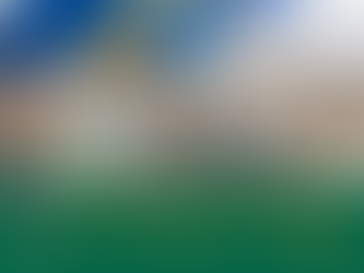 Stop Illegal Fly-Tipping to Protect Our Environment