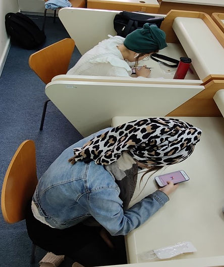 חמשת חומשי הסטיגמה.jpg