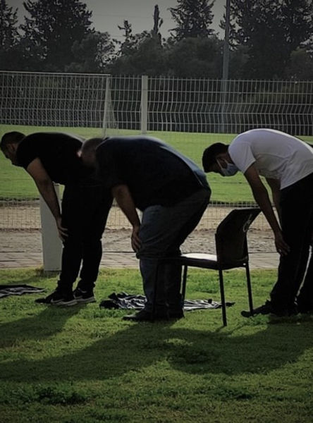 הצאלה.jpg