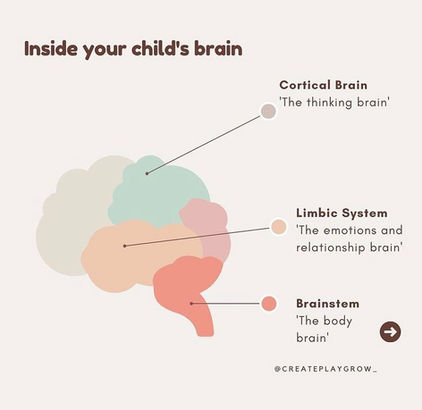 Image of stylized brain diagram in soft pastel colors (teal, peach, coral) divided into three layered sections with labels and arrows with text "Inside your child's brain: Cortical Brain 'The thinking brain'. Limbic System 'The emotions and relationship brain'. Brainstem 'The body brain'." by @CREATEPLAYGROW_