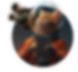 VPMS-Card-02.png
