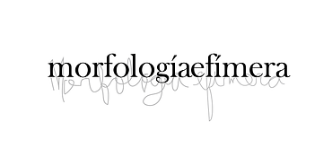 nombres de las colecciones-06.png