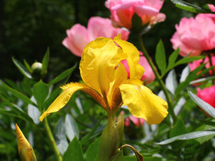 Enjoy Summer at Clermont