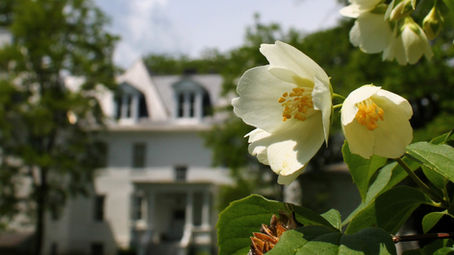 June at Clermont: our top 6 picks