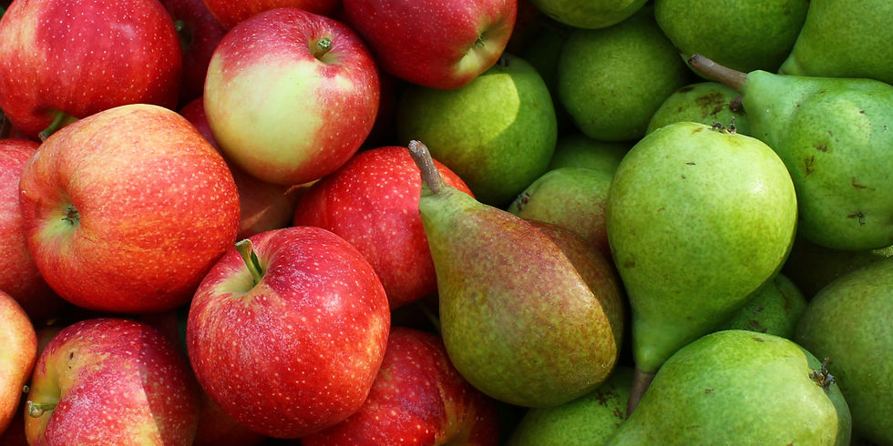 Apples and pears, donated by Fix Bros. Fruit Farm