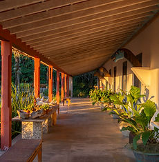 260609_SITIO BURLE MARX_LAURO ROCHA-67.jpg