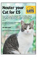 Cat Protection FP 1.jpg