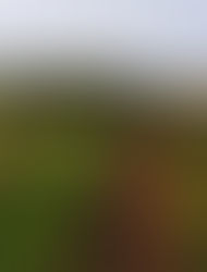 Farming the Future 2020: The Funded Projects