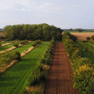 Farming the Future 2020: The Funded Projects