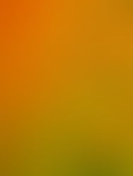 Will the Public Consultation On Deregulating GMOs Deliver?