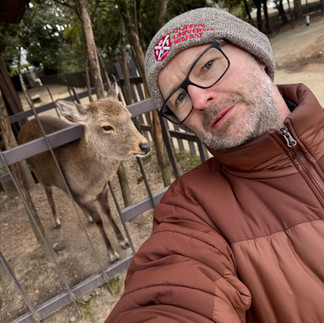 Nara Deer