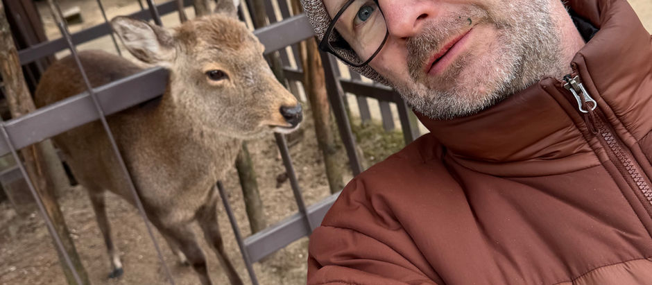 Nara deer