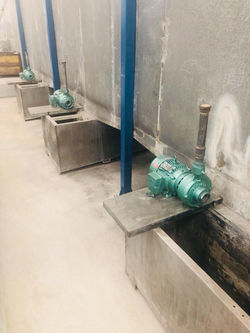 31880524_170269830352180_2804294897585094656_n