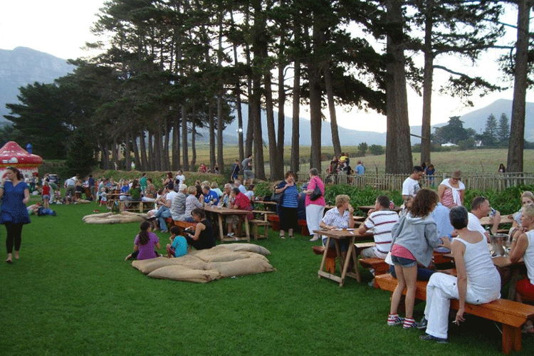chilled-market-range-night-markets-cape-
