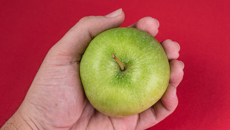 Fibra: o nutriente esquecido que afeta muito mais que a digestão