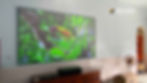 EPSON LS800