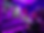 IMG_3411.PNG
