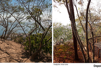 Fotógrafo: Beto Felício