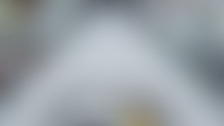 INVENTARIOS, REVISIÓN DE SAT