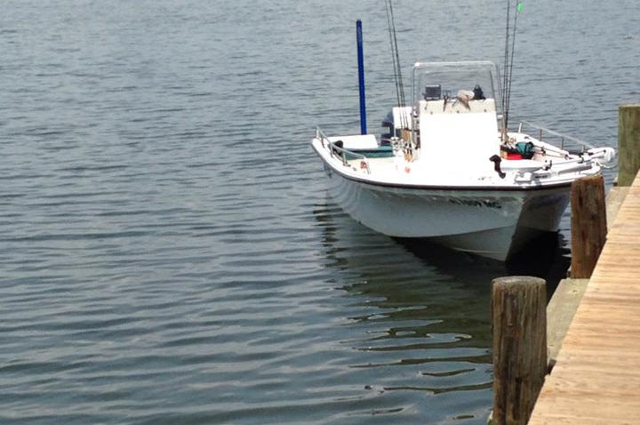 Tampa Fishing Charters