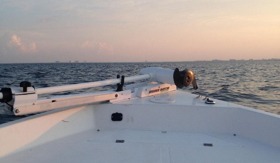 Tampa Fishing Charters
