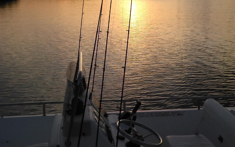 Tampa Fishing Charters