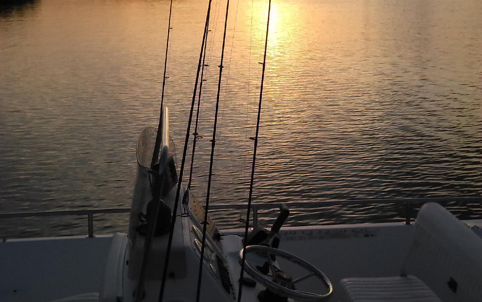 Tampa Fishing Charters