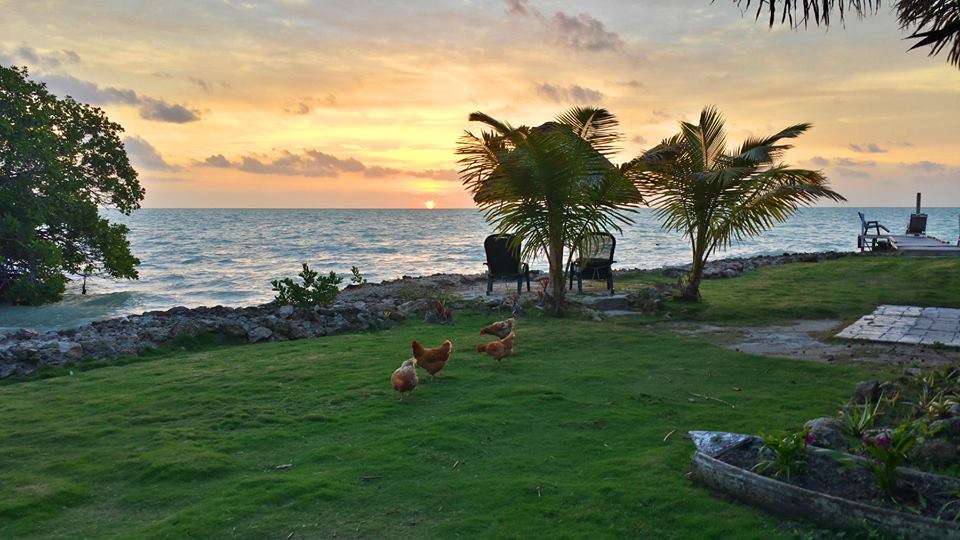 Photo Tour of Consejo Shores, Corozal and Belize
