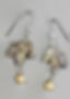 Maple Earrings LFE436GZP