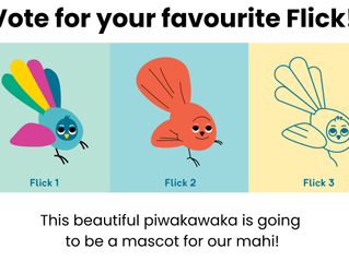 Meet Flick — our feathered kaitiaki