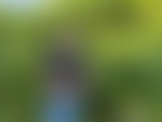 July 2026 project update