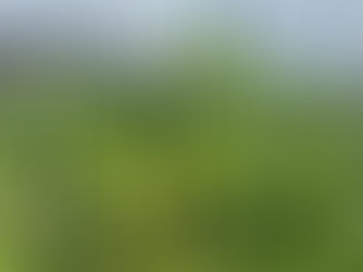 Feeding people and ecosystems 