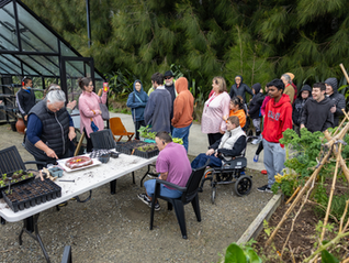 Climate change action through our disability communities