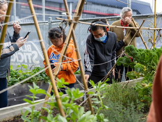 Funding boost for student-led restoration 