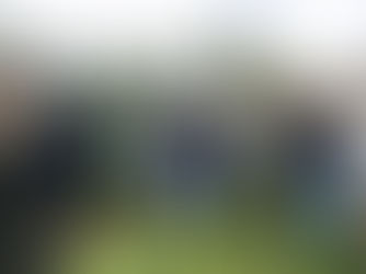 Guided walk a chance to tour restoration