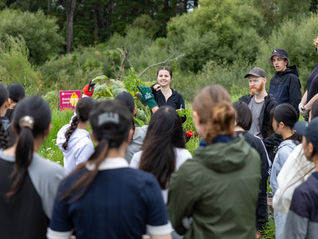 January-February 2026 project update