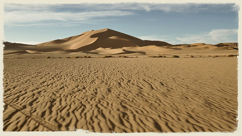 image14.jpeg