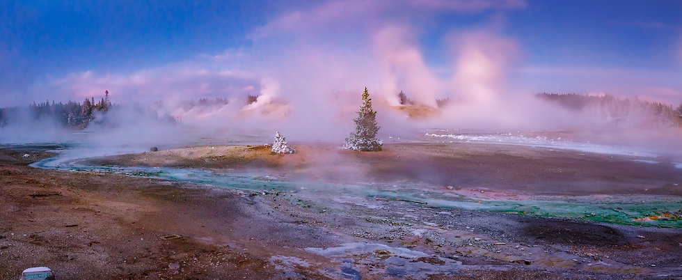 AdobeStock_329415336.jpeg