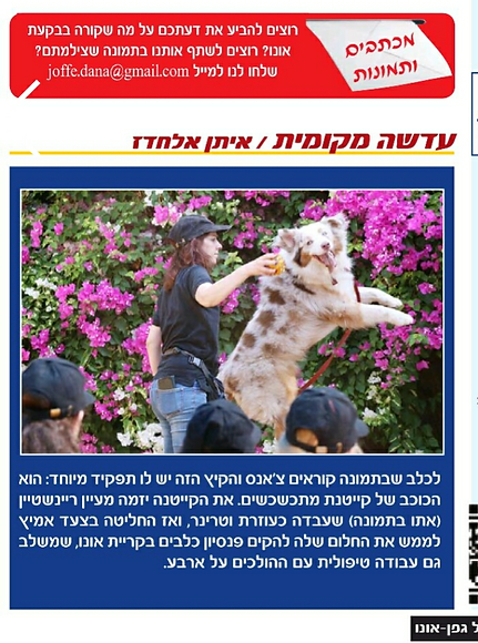 כלבנות טיפולית 