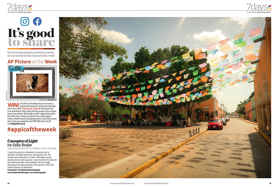AP double page spread.jpg