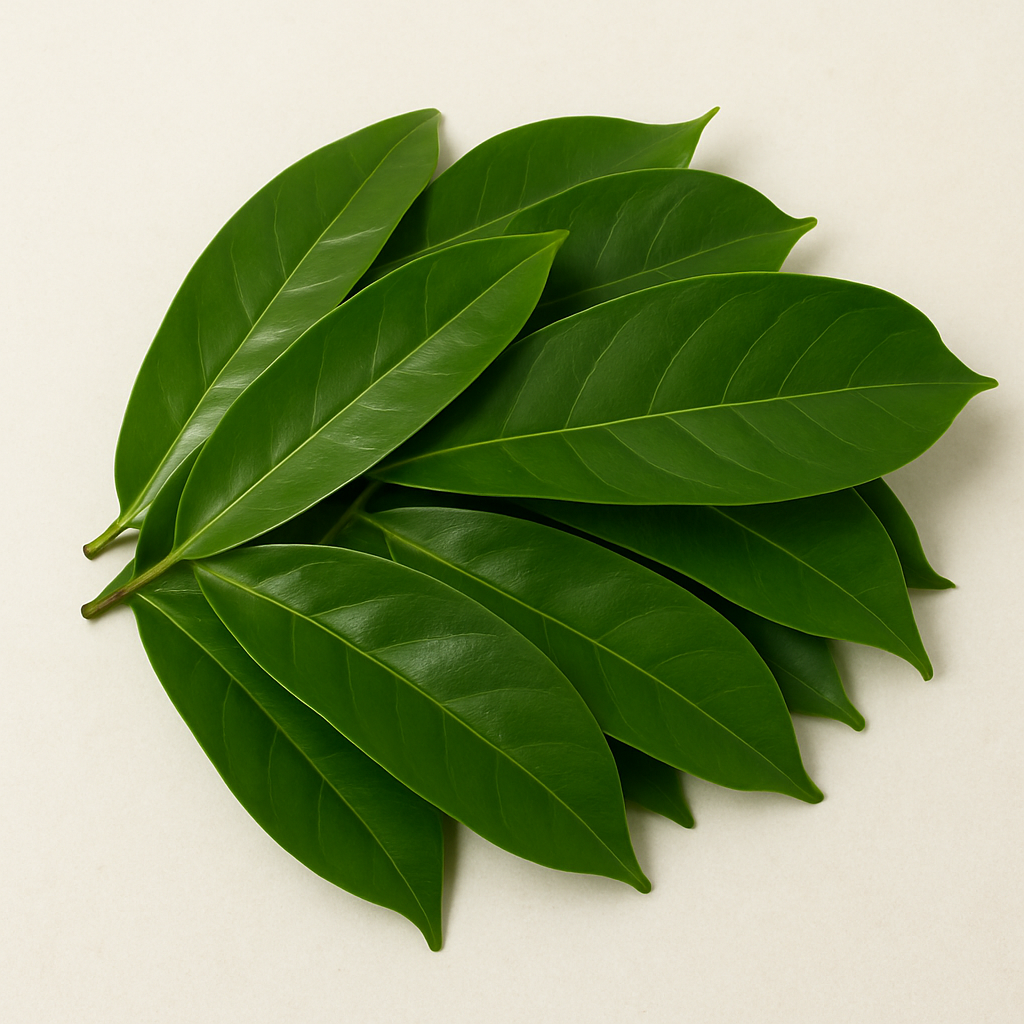 Soursop Leaves (Graviola) - 50g