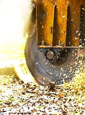 stock-photo-a-stump-grinding-machine-rem