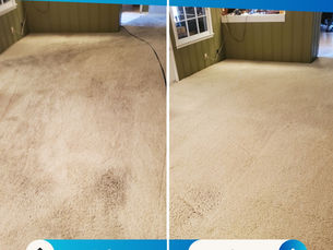 Breathe Easy: How Routine Carpet Cleanings Improve Air Quality, Preserve Your Flooring & Refresh Your Home